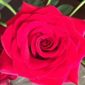 Meet your Posher, Aurica